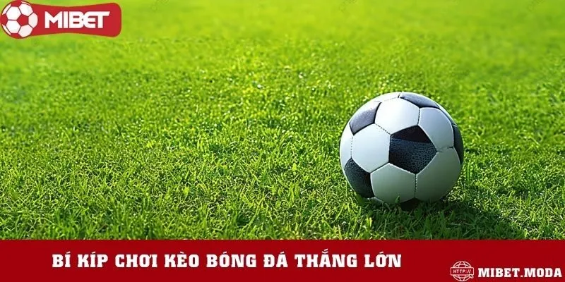 Cách chơi kèo 0.25 để dễ thắng lớn