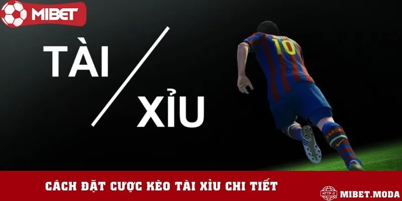 Đọc kèo tài xỉu nhanh chóng chỉ trong vòng một phút