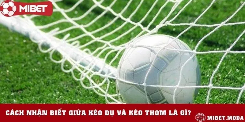 Phân biệt kèo bẫy và kèo thơm đến từ nhà cái