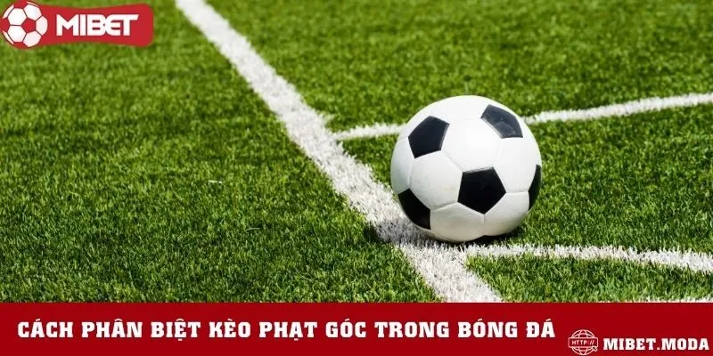Cách xem kèo phạt góc chi tiết – Hướng dẫn cho người chơi mới