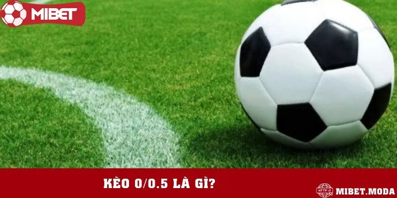 Tìm hiểu về loại kèo chấp thu hút nhiều lượt chơi nhất