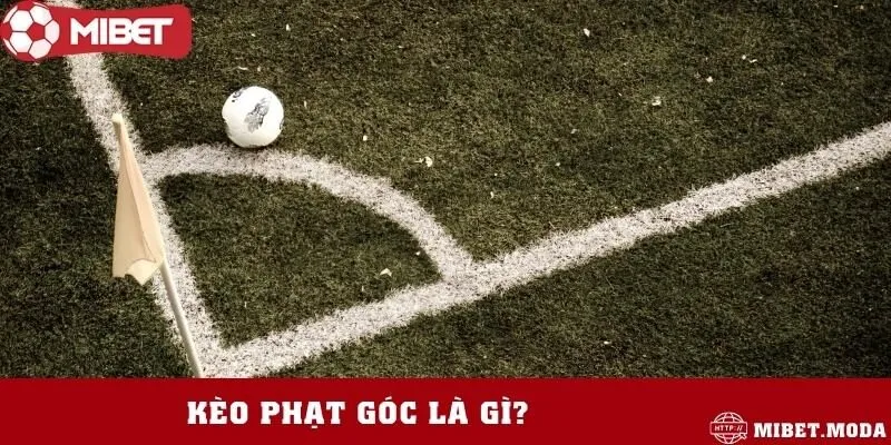 Tìm hiểu chung về loại kèo với cơ hội chiến thắng lớn