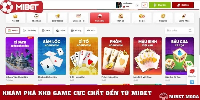 5 sản phẩm chủ đạo được nhiều người quan tâm nhất
