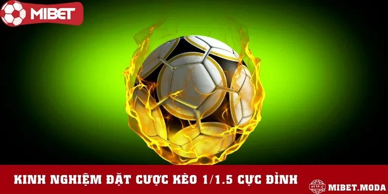Lời khuyên chân thành từ những người chơi lâu năm