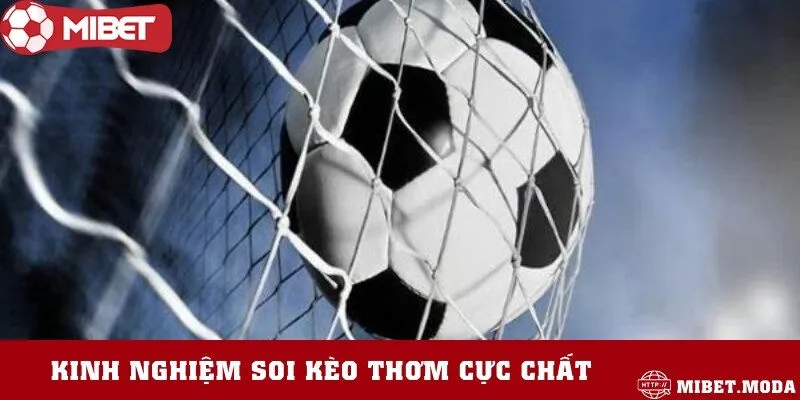 Bí quyết soi kèo hiệu quả cho người mới bắt đầu