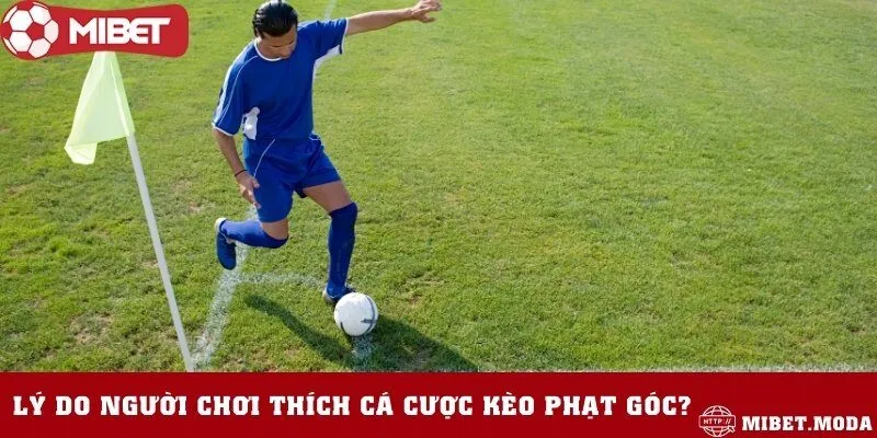 Tại sao kèo phạt góc lại được mọi người yêu thích đến vậy?