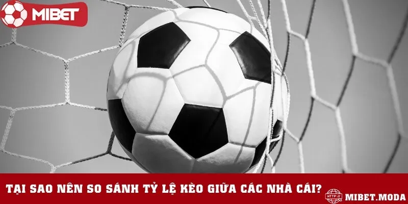 Vì sao cần so sánh tỷ lệ kèo giữa các nhà cái?