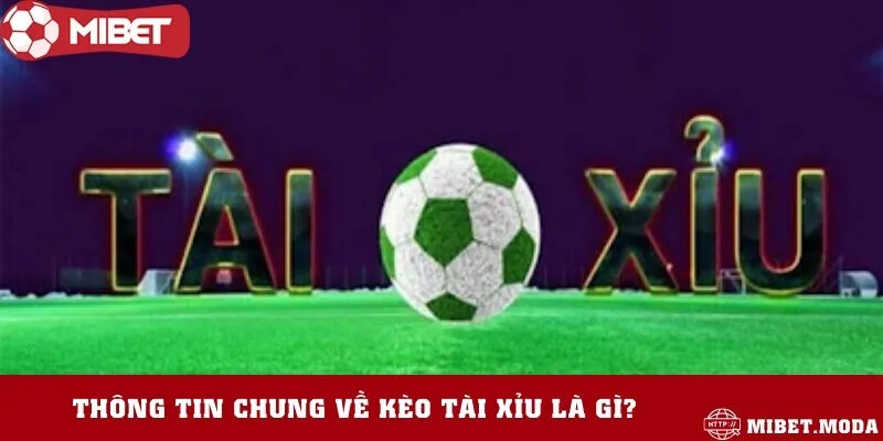 Loại kèo được yêu thích nhất hiện nay có gì đặc biệt?